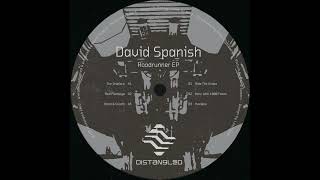 David Spanish - The Dripface (Distangled)