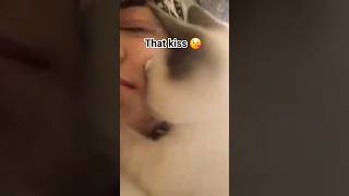 He kissed me back ❤️// That Kiss 😘 of my kitten went viral #trending #funnyvideo #cutecats