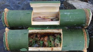 Primitive Technology: Dig eel and steamed in delicious bamboo tube | Find and cook food in the wild