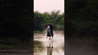 Desert after rain #music #horseriding #horserid #horseride #horselover