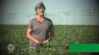 Soy Herbicide Adjustments & Crop Rotation with Farmer Tracy Zink