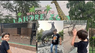 Welcome to lahore Safari zoo || zoo gye bht maza aya || Suzi dekha || lion dekha || tiger dekha ||