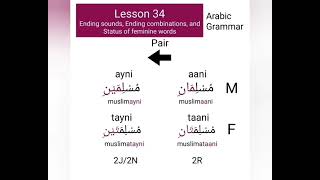 Lesson 34 | Study of ism | Arabic Grammar | Ad-duha