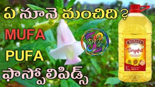 Which oil is the best one? | Refined oil or ganuga oil | నాకు తెలిసిన విశ్లేషణ