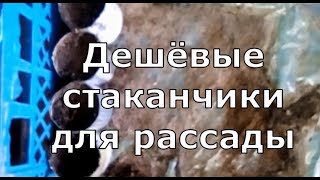 Удобные рассадные стаканчики из газеты.