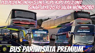 Wow 5 Unit PEBEPE dan Dieng  Indah, 2 Unit KKA Dan Sinar Jaya 20 RE Jalan Wonosobo||Ramai Bus Wisata