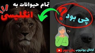 تمام حیوانات به انگلیسی | All animals