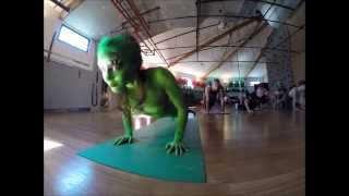 Lizard Lady doing Yoga at Carabiner's (New Bedford)