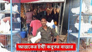 আজকের টঙ্গী কবুতর বাজার | Pigeon Market in Bangladesh | টঙ্গী বাজার কবুতরেরহাট | Latest Update Video