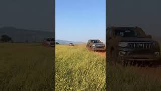 OFF ROADING INDIAN CARS | JIMNY | THAR | SCORPIO N | DMAX | HILUX | GURKHA #offroad #explore #travel