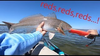 hunting redfish on the flats