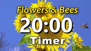 20 Minute Timer | ⏰ Bell Alert | No Music | Sun Flowers Hummingbird | Big Numbers