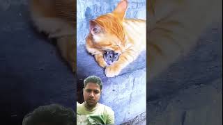 Billi ne bachayi cuhe ki jaan #funny #comedy #cute #emotional #love #cat #rat #catlover