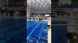 Nailed it #diving #divingfail