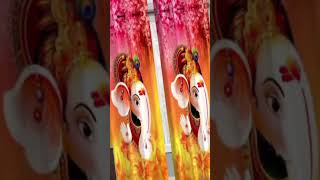 Digital ptinted cirtain #printed curtain #printedcurtain #curtains #पर्दे #blackoutcurtain