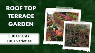 Roof top Terrace Garden | 500+ Plants | 100+ varieties #rooftopgarden #terracegarden #balconygarden