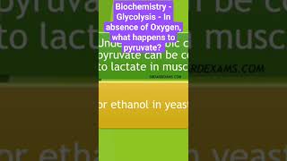 Biochemistry - Glycolysis - what happens to pyruvate in absence of Oxygen?