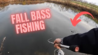 NED RIGS For Big Fall Bass