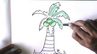 HOW TO  DRAW A COCONUT TREE