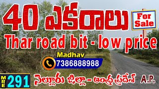 40 ఎకరాల వ్యవసాయ భూమి || Thar Road || Nellore Dt || Agriculture land for sale ||7386888988|| MRE-291