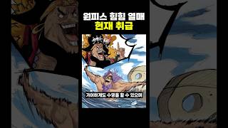 원피스) ‘힘힘’열매 현재 취급 ㅋㅋ 줸장 티치