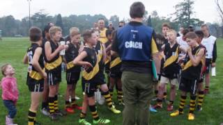 U10's Round 11 2016