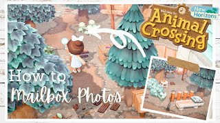 Angled Photo SECRET (Mailbox Shots)  | Animal Crossing New Horizons