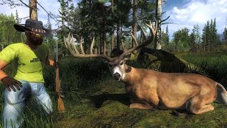 Still looking for 200+ Whitetail Deer - The hunter classic