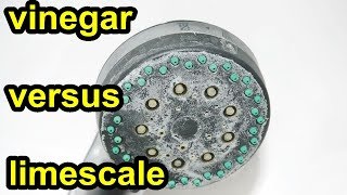 rd #275 Vinegar versus limescale   Cleaning my shower head with vinegar