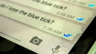 How to disable message seen blue tick on whatsapp