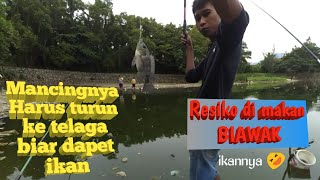 🔴Kalau mau dapat Banyak ikan harus begini mancingnya