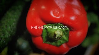 НУТРИЦИОЛОГИЯ 2 или Сибас с овощами  (Анонс)