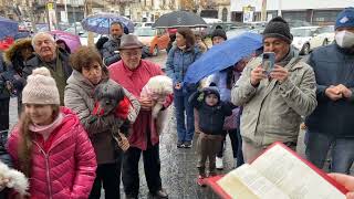 Festa di S. Antonio Abate ‘23 - Paternò (CT). Benedizione degli animali