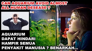 5 Manfaat Aquarium Untuk Kesehatan | Best Healing at Home