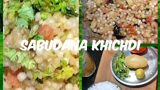 Instant | Navratri Vrat Spl. Sabudana Khichdi|Easy|Morning & Evening Snacks| 😋Punjabi Kitchen Recipe