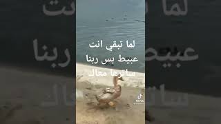 كوميديا ضحك × ضحك