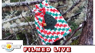 Christmas Gift Bag - Crochet LIVE CAL - Thurs. Nov. 23, 23 - Thanksgiving Week Marathon Day 4