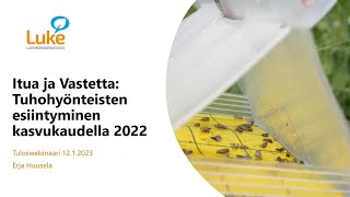 ItuaJaVastetta Tuhohyönteisten esiintyminen 2022