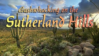 Bushwhacking on the Sutherland Hills