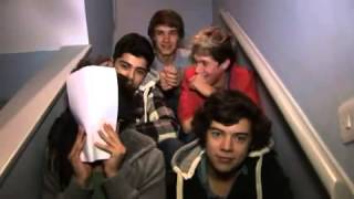 One Direction   The Cutest Funniest Funny Moments   1D Video Diary   Week 4