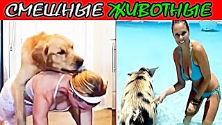 ⚡️  СМЕШНЫЕ МОМЕНТЫ с ЖИВОТНЫМИ, СНЯТЫЕ на КАМЕРУ