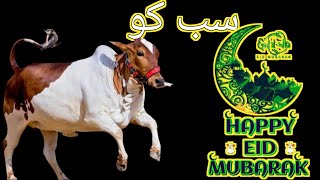 Joyful Blessings: Happy Bakra Eid Mubarak!