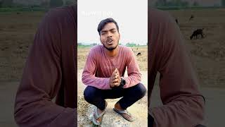 road banaa dijiye Mukhiya ji funny video #comedy #reels #youtubeshorts#funny #manishkashyap#reporter