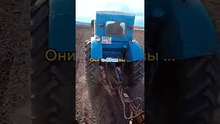 ДТ-75 ещё жив и в работе #farming #трактор #комбайн #farm #agro #механизатор #колхоз