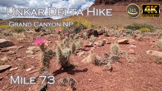 Unkar Delta Hike - Mile 73 - Grand Canyon NP - Colorado River - V360