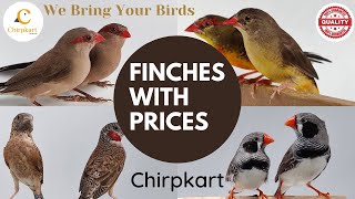 Finches ll Pricelist For Finches ll Best Prices ll Chirpkart ll @coimbatore