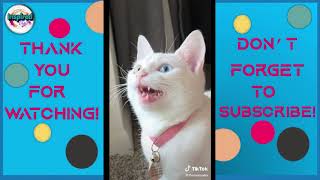 TIKTOK FUNNY ANIMALS COMPILATION1