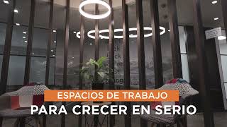 Espacios de trabajo para crecer en serio en Condesa