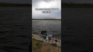 соревнования urban fishing... #fishing #рыбалка #фидер #shortvideo