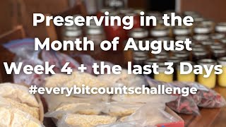 #everybitcountschallenge Week 4, August 2023 | Jams and More!